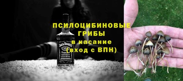ГАЛЛЮЦИНОГЕННЫЕ ГРИБЫ Белоозёрский