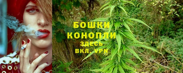 ALPHA PVP Белокуриха