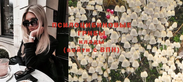 ГАЛЛЮЦИНОГЕННЫЕ ГРИБЫ Белоозёрский