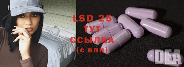 ГАЛЛЮЦИНОГЕННЫЕ ГРИБЫ Белоозёрский