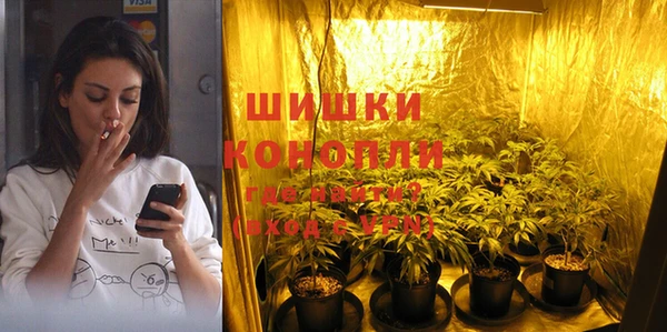 ГАЛЛЮЦИНОГЕННЫЕ ГРИБЫ Белоозёрский