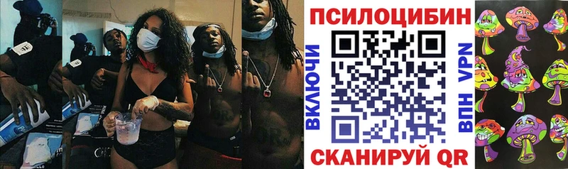 Галлюциногенные грибы Magic Shrooms Шилка